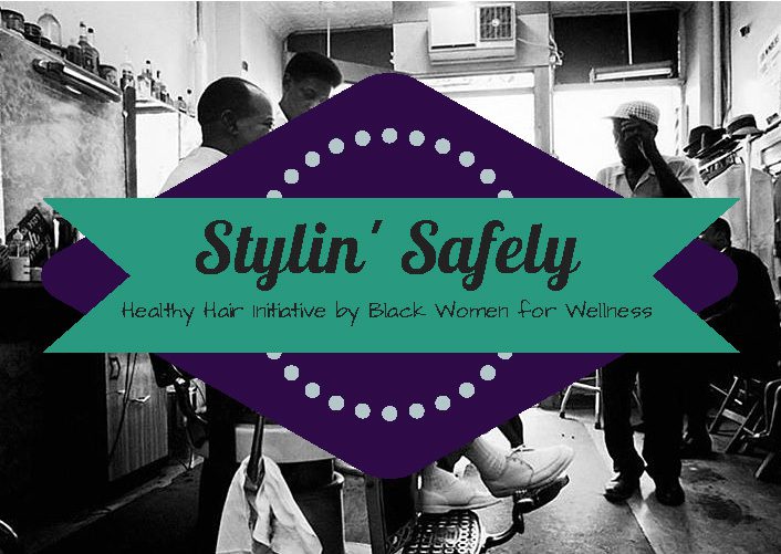 Stylin' Safely Healthy Hair Initiative - Product Ingredients 1