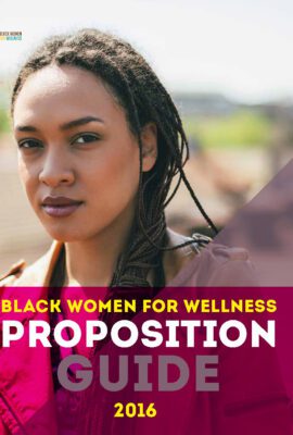 Voter Proposition Guide 2016