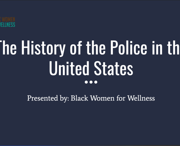 BWW History of Police in the United States PDF