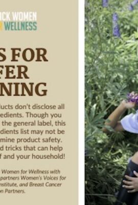 Household Cleaning Safety Tip Card 2022