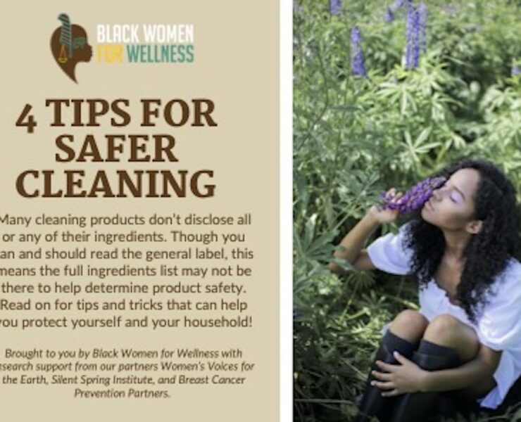 Household Cleaning Safety Tip Card 2022
