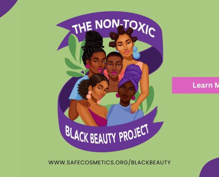 Non toxic beauty project banner