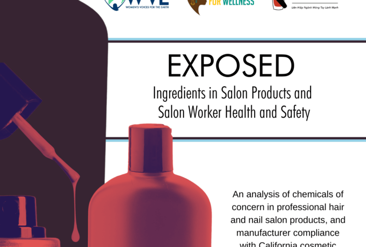 Exposed: Ingredients in Salon Products & Salon Worker Health and Safety