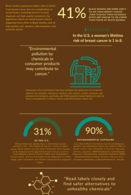 Black Women and Breast Health Fact Sheet 1