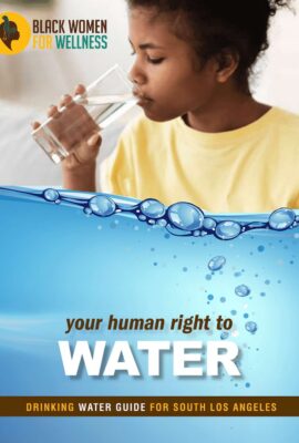 Drinking Water Guide for Water Quality in South Los Angeles