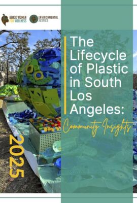 BWW EJ Plastics Report 2025