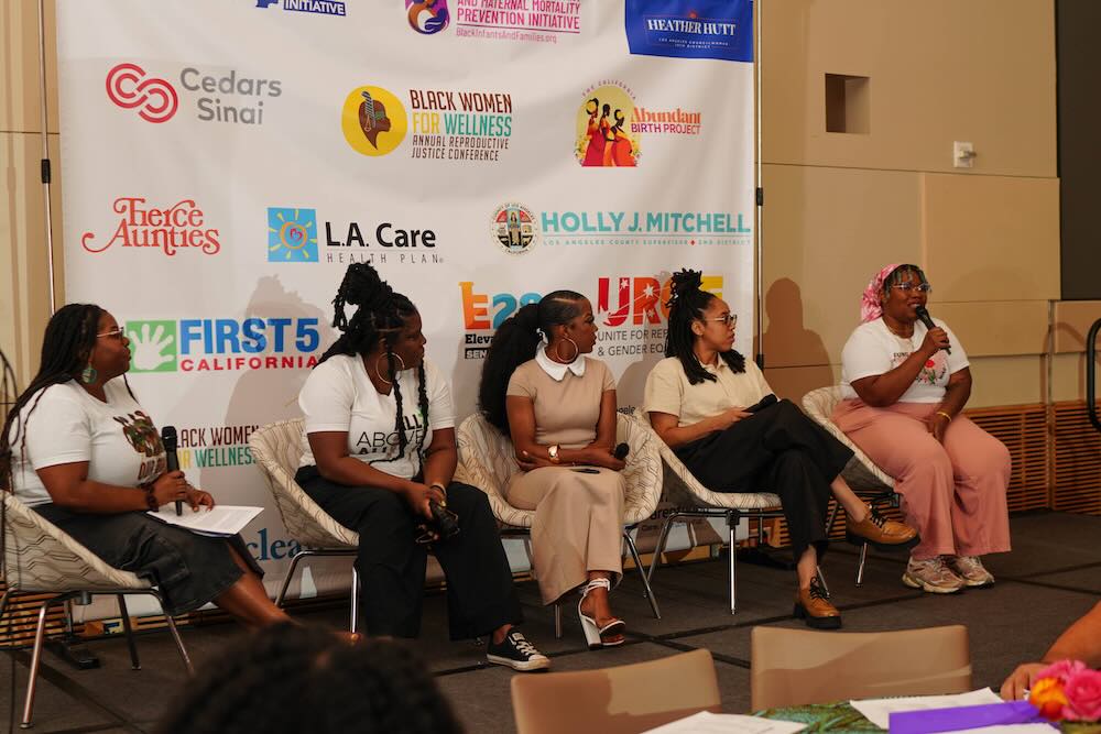 2025 Reproductive Justice Conference Panel