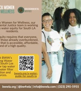 BWW Bottled Water Postcard