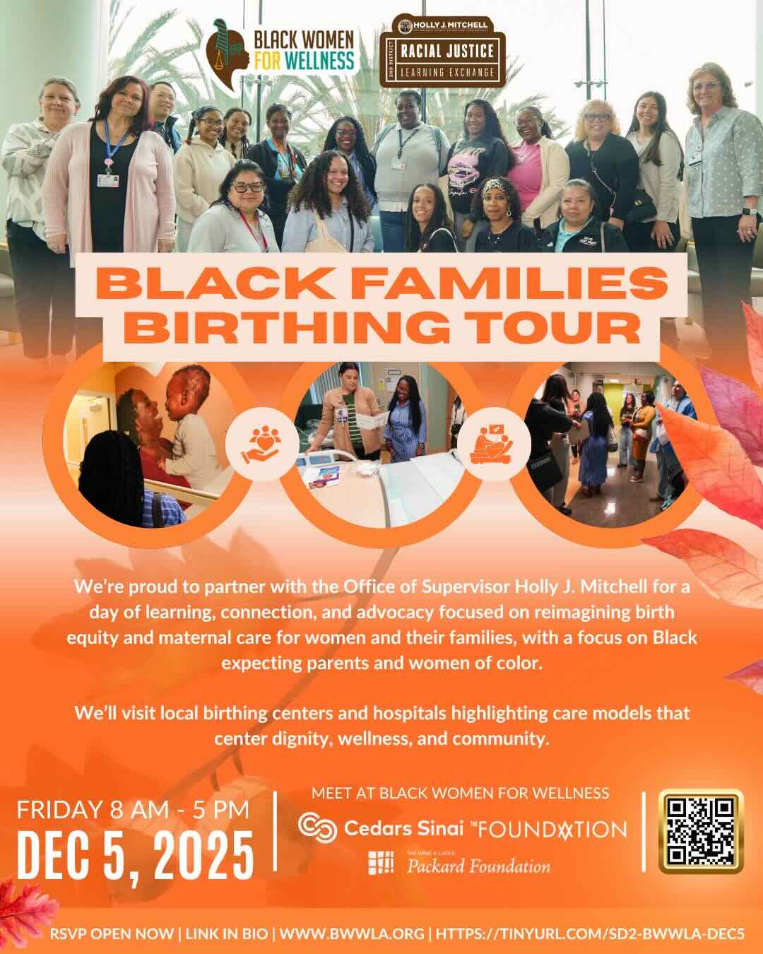 Black Mamas Birthing Tour Event Flyer