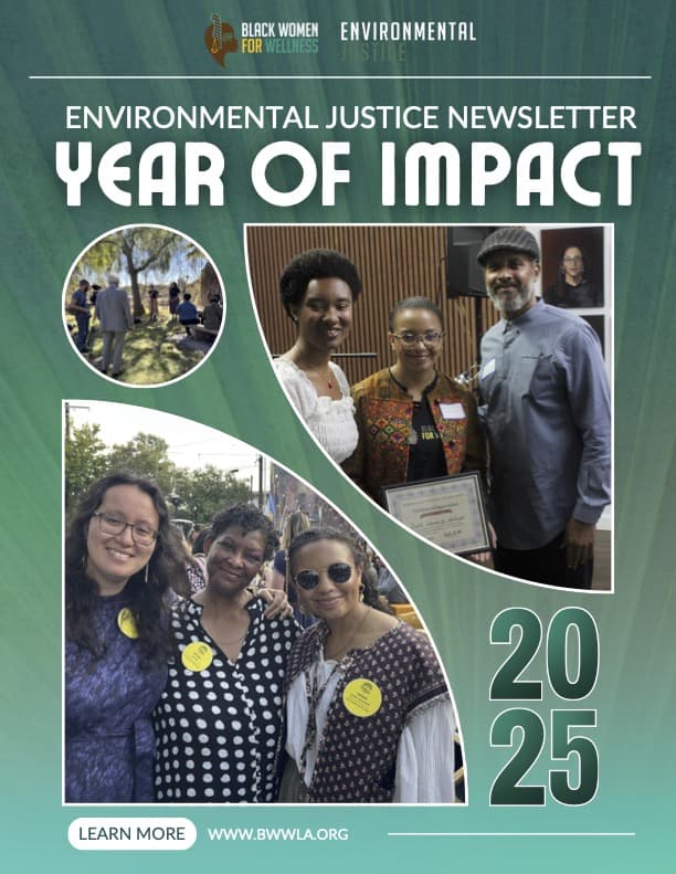 Black Women for Wellness Environmental Justice Newsletter (March 2026)