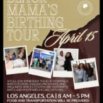 Black Mamas Birthing Tour Event Flyer