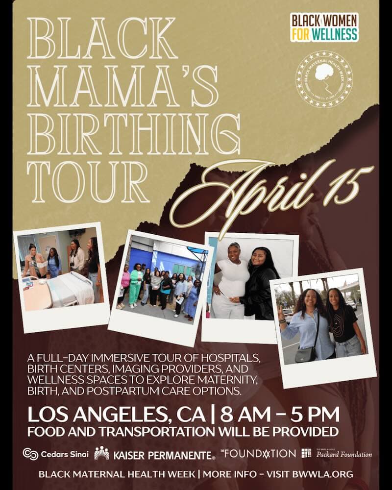 Black Mamas Birthing Tour Event Flyer
