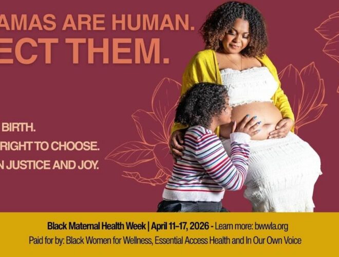 Black Mamas are Human Flyer