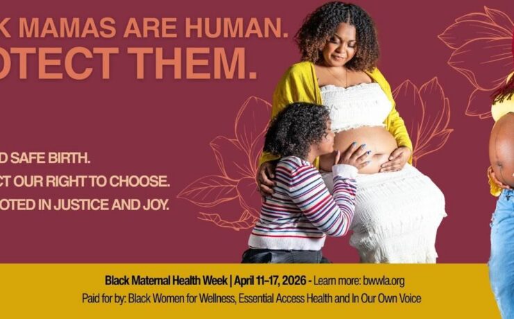 Black Mamas are Human Flyer
