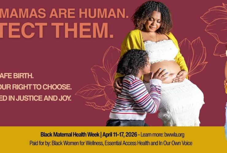 Black Mamas are Human Flyer