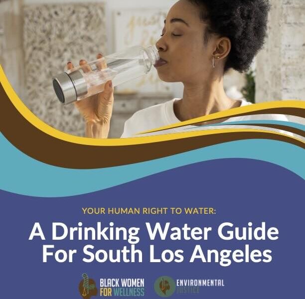 2026 Drinking Water Guide for Water Quality in South Los Angeles
