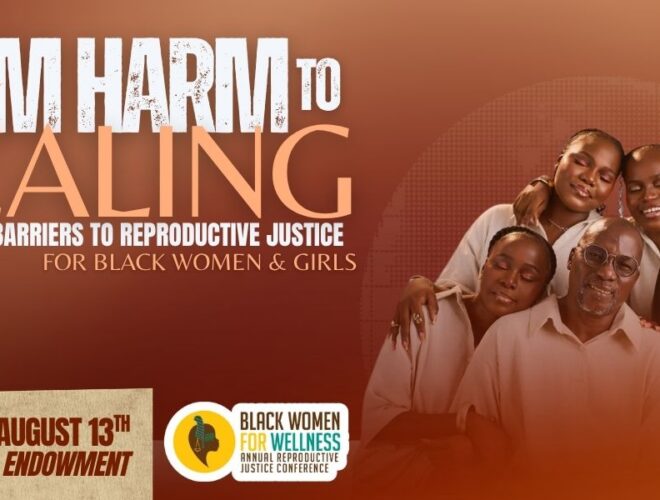 27th Annual Reproductive Justice Conference Event Flyer