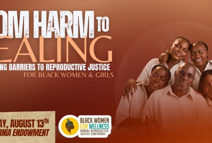 27th Annual Reproductive Justice Conference Event Flyer