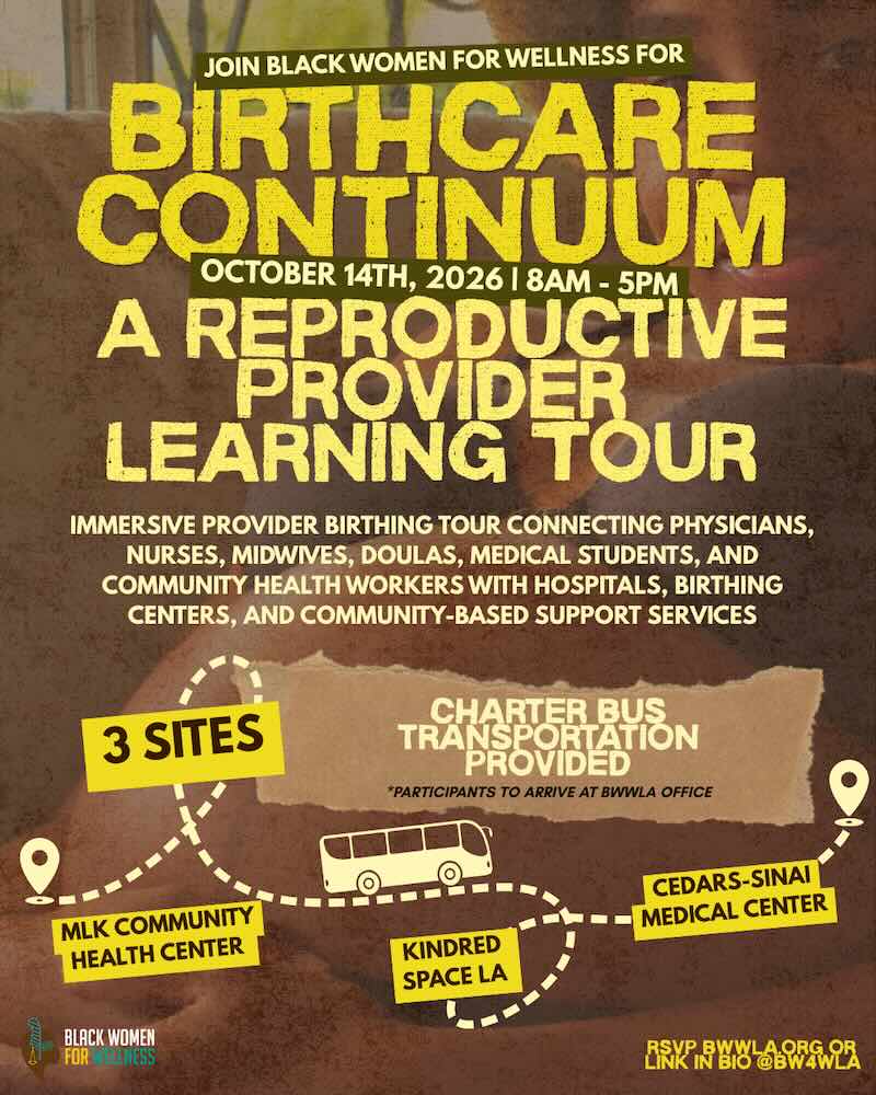 Birthcare Continuum Event Flyer